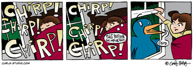 Chirp – In Living Color