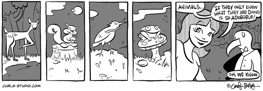 Animals