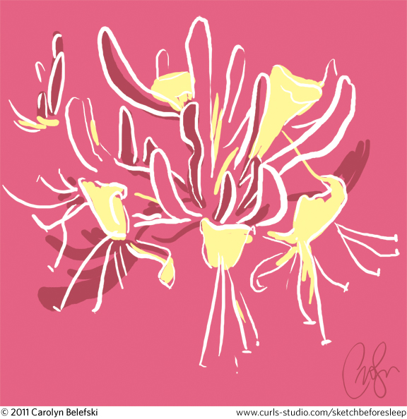 honeysuckle_belefski